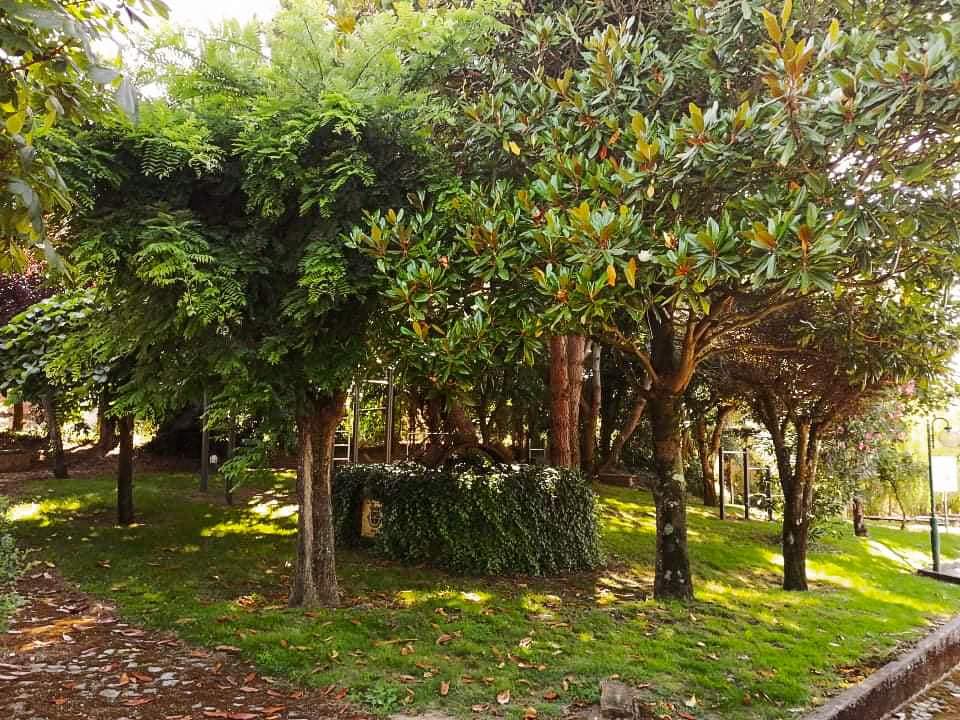 Parque - Imagem 1