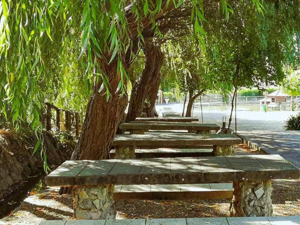 Parque - Imagem 3